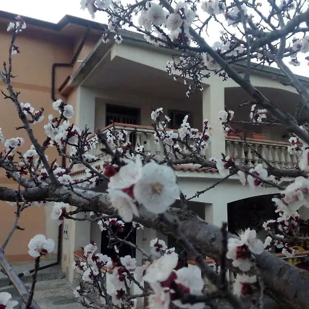 Lejlighed Casa Francesca
